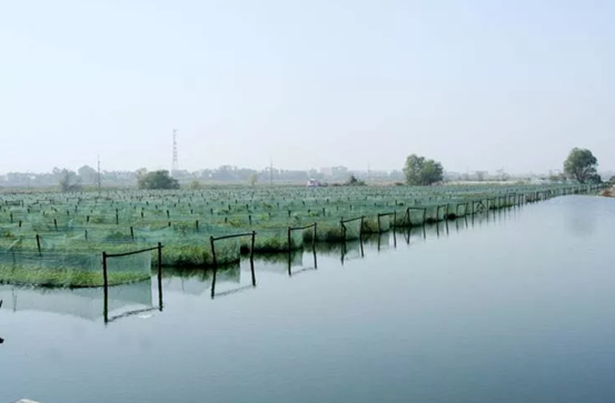 水产养殖技术